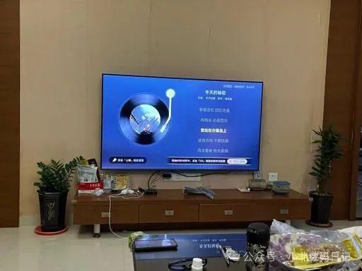 ：电视选购不迷茫TOP10推荐尊龙凯时电视机品牌排行榜前十名(图3)